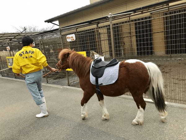 【都内近郊】無料の子供遊び場！動物とも触れ合える「浦安市交通公園」がおすすめ1.jpg