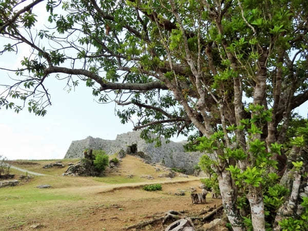 琉球王国の英雄「護佐丸」とは？沖縄県のグスクをめぐる旅