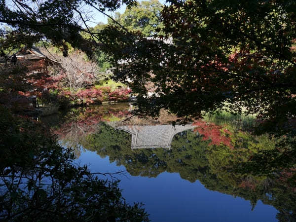 【奈良】紅葉が美しい長岳寺と周辺を散策！ランチのお店も紹介