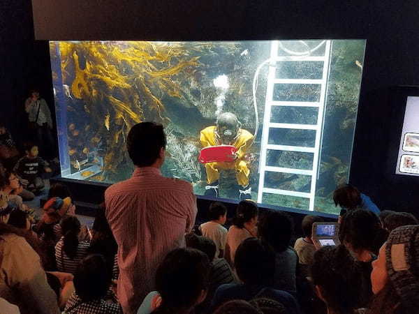 東北の人気水族館TOP8！みんなが行っている水族館ランキング1.jpg