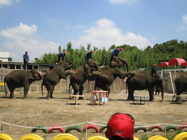 関東の人気動物園TOP16！みんなが行っている動物園ランキング1.jpg