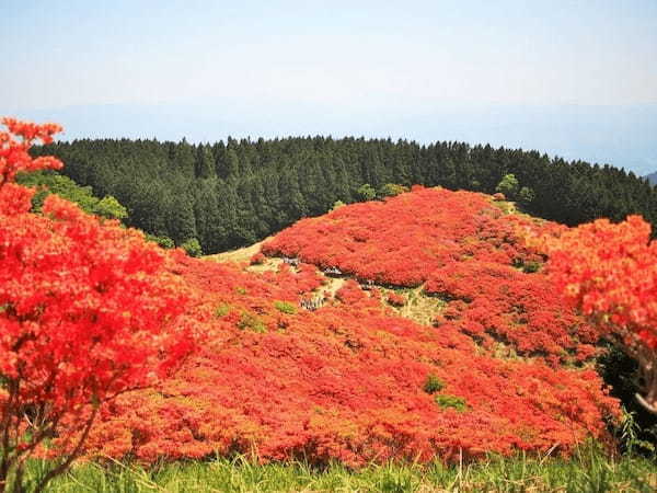 春の国内旅行におすすめの観光地44選！春がベストシーズンの旅先ガイド1.jpg