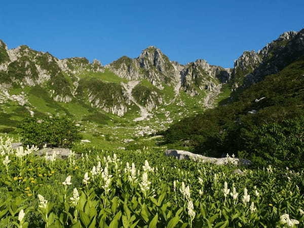 【長野】ロープウェイでひとっ飛び♪着いたら絶景！木曽駒ヶ岳を目指そう♪1.jpg