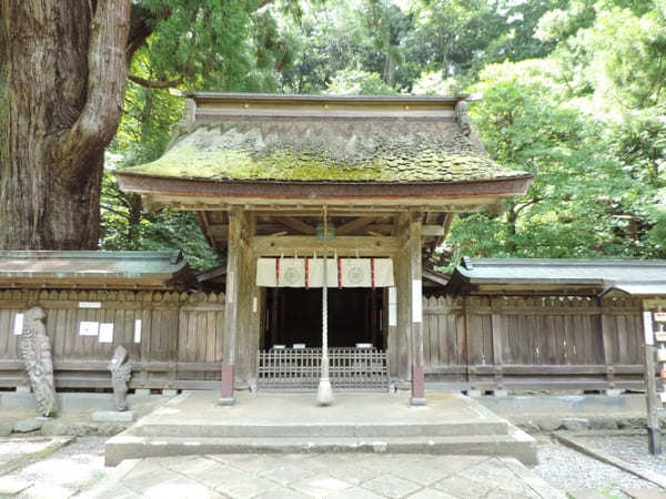 福井県でおすすめの神社9社