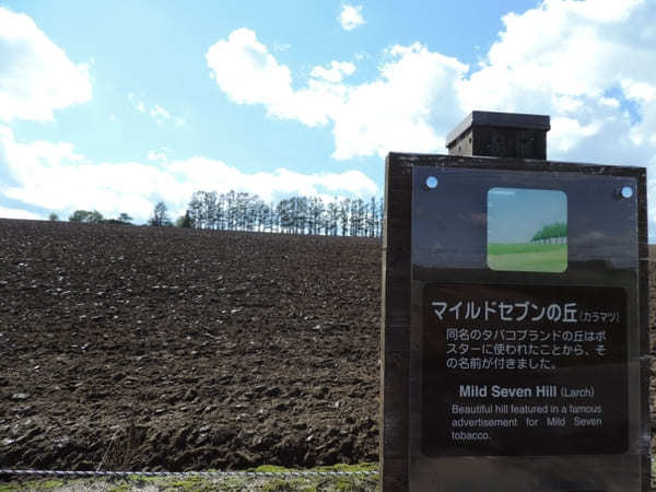 絶景が広がる 北海道 / 美瑛の丘めぐり！