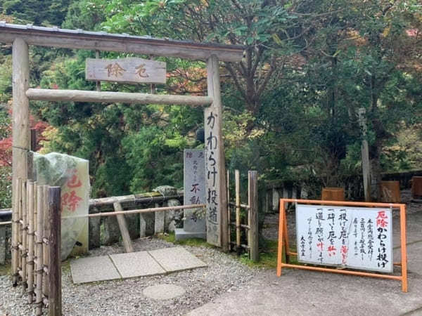 都内からの日帰り登山にも！ケーブルカー無しで楽しむ大山登山のベストコース【神奈川】