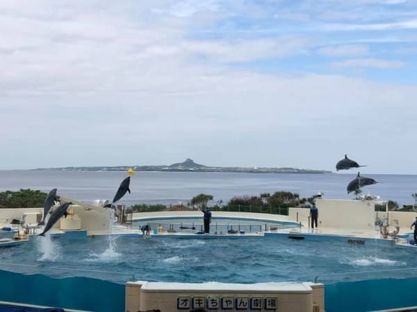 沖縄美ら海水族館だけじゃない！海洋博公園5つの見どころ徹底ガイド