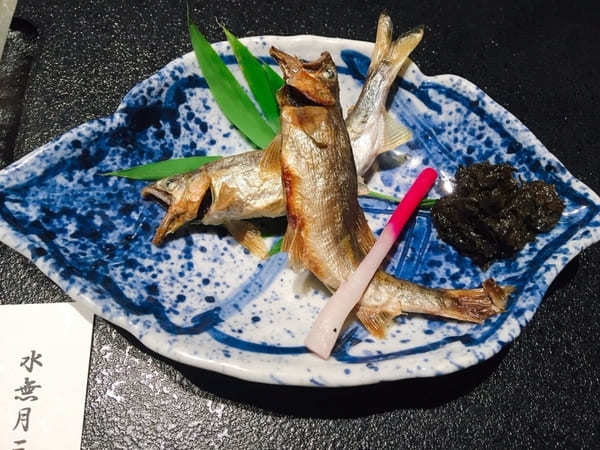 【富山】ミシュランガイドにも掲載！2種類のにごり湯と料理が売りの宿「三楽園」