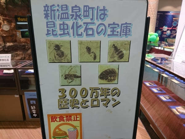 日本初の昆虫化石博物館【兵庫県】おもしろ昆虫化石館の見どころ紹介