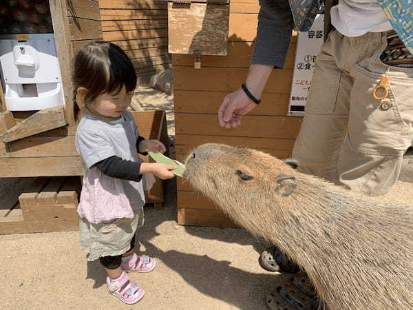 【那須】子どもと一緒に楽しむなら「那須どうぶつ王国」で決まり！1.jpg