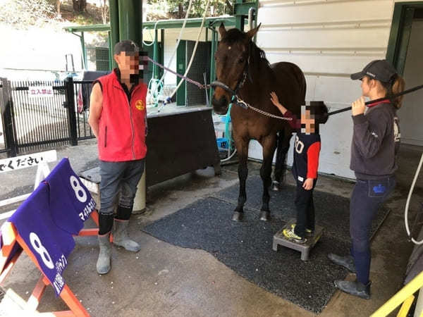 子どもと行きたい横浜のおすすめ公園22選！大型遊具・ロング滑り台など設備充実の公園特集