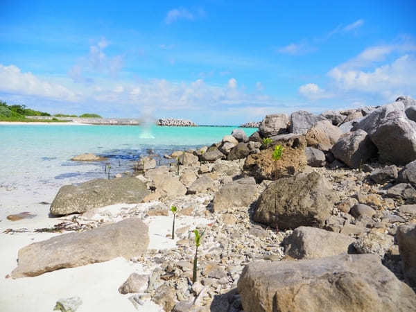 【鳩間島・完全ガイド】絶景ビーチや島の魅力、おすすめの過ごし方を大公開！（沖縄）