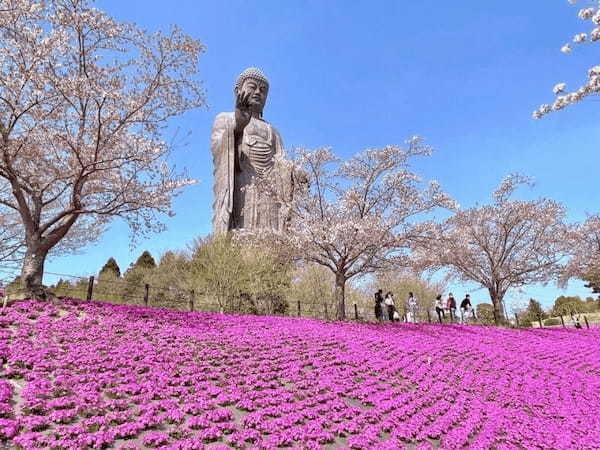 【茨城】世界最大の「牛久大仏」の見どころ＆楽しみ方6選1.jpg