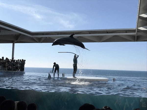 【新潟】高田城址公園・親不知海岸・うみがたり日帰り観光モデルコース1.jpg