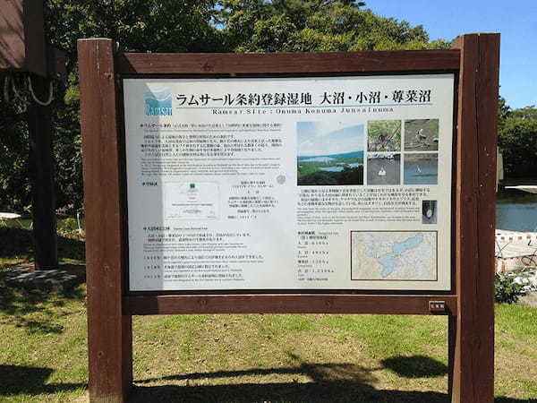 【北海道・七飯町】大沼国定公園の散策・湖上クルーズと仔牛の哺乳体験