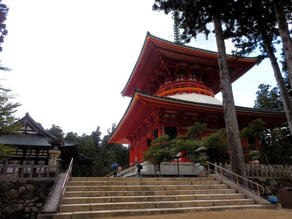 【高野山】はじまりの地！壮麗な修行道場・壇上伽藍