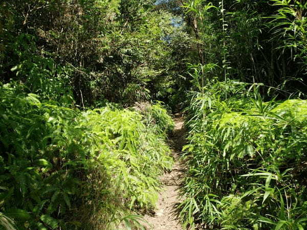 絶景！天空の鳥居【香川】高屋神社までハイキング！1.jpg