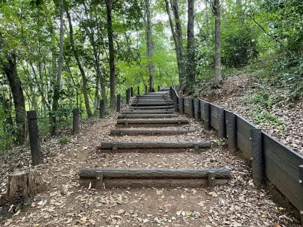 子供と一緒にお散歩気分で巡れる！3つの山を有する「都立浅間山公園」へ【府中市】