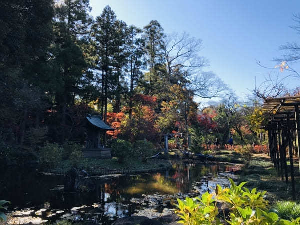 千葉の紅葉名所No.1【本土寺】のオススメ写真スポット＆楽しみ方を伝授！