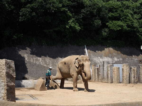 関東の人気動物園TOP16！みんなが行っている動物園ランキング1.jpg