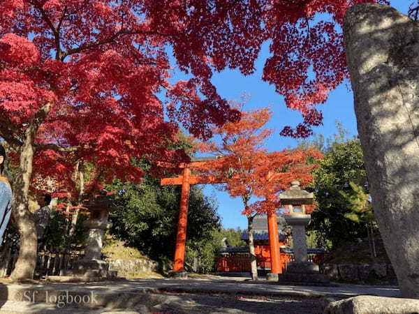 【京都】格別の紅葉！世界遺産・天龍寺の魅力をご紹介！1.jpg