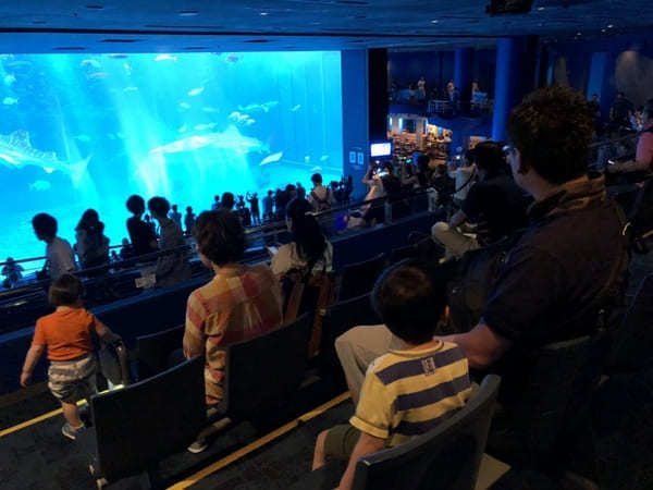 “美ら海の図鑑”ができちゃう！「沖縄美ら海水族館」