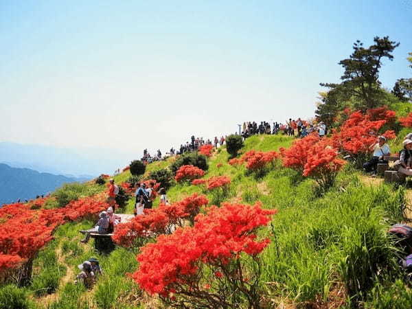 春の国内旅行におすすめの観光地44選！春がベストシーズンの旅先ガイド1.jpg