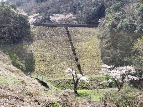 戦国武将ゆかりの地【岐阜県可児市】で歴史と花のスポット巡り！