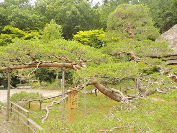 【長野】信州最古の温泉「別所温泉」を散策！