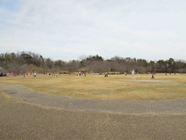 【京都】いちご狩りやお花見も！精華町・井手町で春を感じよう