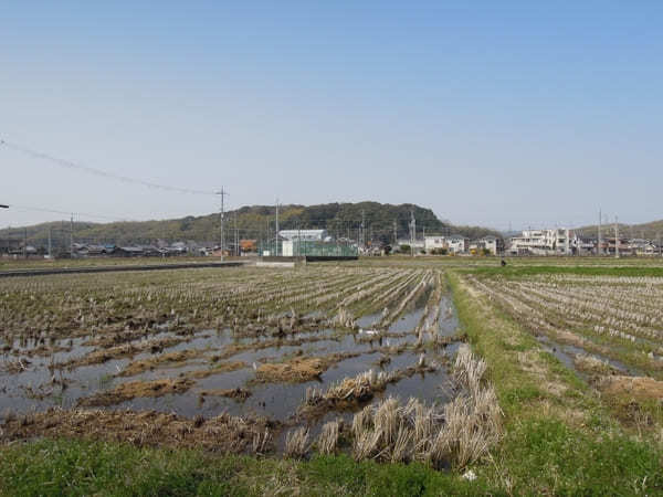 【京都】いちご狩りやお花見も！精華町・井手町で春を感じよう