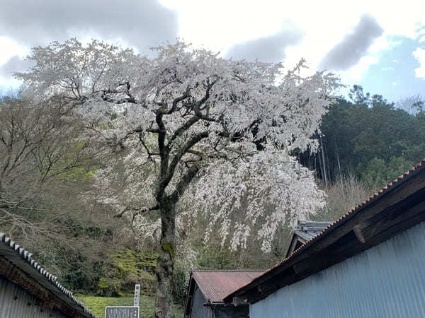 岐阜県の山間にある町【八百津】のおすすめスポット