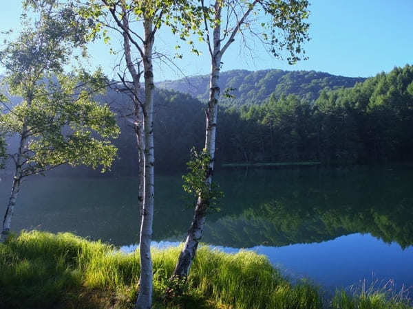 一度は見たい！息をのむ絶景！【長野・御射鹿池】