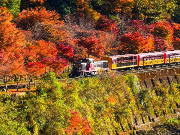 渡月橋に竹林の道・天龍寺も！京都・嵐山観光おすすめモデルコース