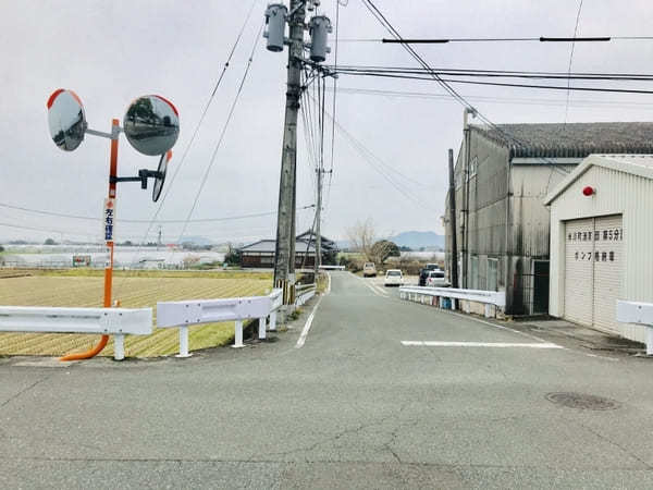 熊本でいちご狩りなら「岩村苺農園」1,300円で無制限食べ放題！