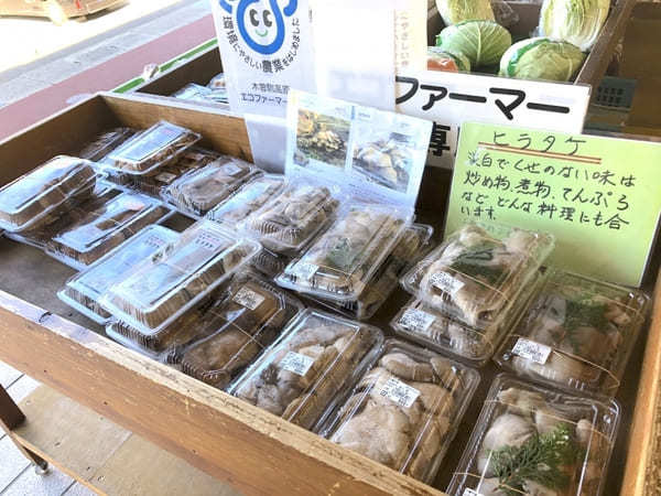 【道の駅 日義木曽駒高原 ささりんどう館】季節を感じる木曽の美味しいモンがいっぱい！（長野）