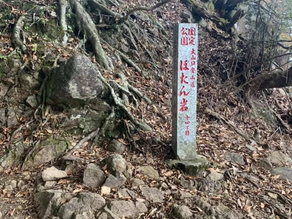 都内からの日帰り登山にも！ケーブルカー無しで楽しむ大山登山のベストコース【神奈川】