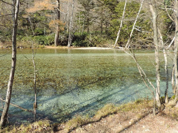 【上高地】「大正池」から人気スポットの「かっぱ橋」を散策しよう！