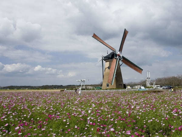 全国のおすすめ花畑85選！一面に絶景が広がる花の名所ガイド