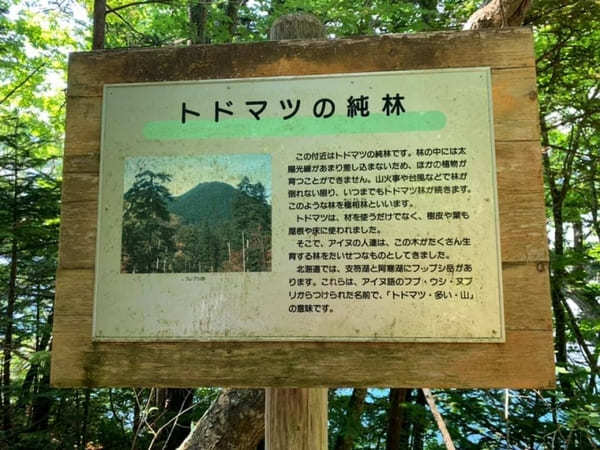 地熱の高さゆえの独特な自然を満喫！和琴半島の見どころ紹介【北海道】