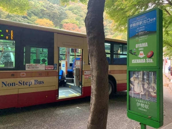 都内からの日帰り登山にも！ケーブルカー無しで楽しむ大山登山のベストコース【神奈川】