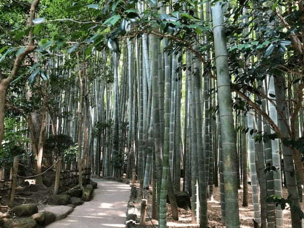 江の島・鎌倉フリーパスでお得に観光 日帰り旅徹底ガイド【鎌倉編】