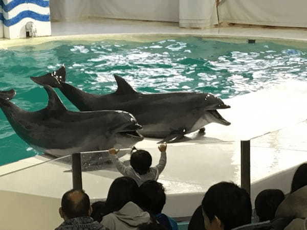 【北海道】圧巻のトドショー！大自然に囲まれたおたる水族館で海獣に会おう！