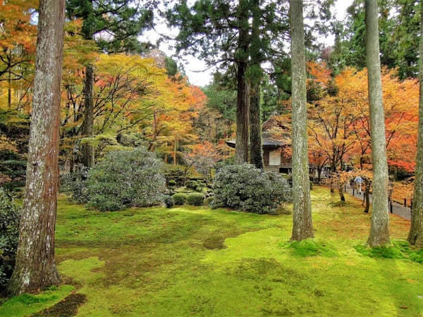 京都でおすすめの寺・神社49選！観光客に人気＆世界遺産の寺社リスト