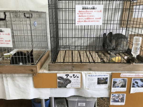 【都内近郊】無料の子供遊び場！動物とも触れ合える「浦安市交通公園」がおすすめ1.jpg