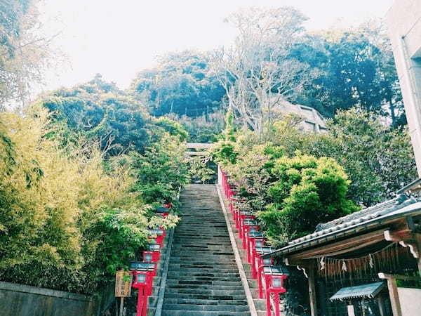 千葉県房総半島。漁港の町・勝浦で早起き散策を楽しもう！1.jpg