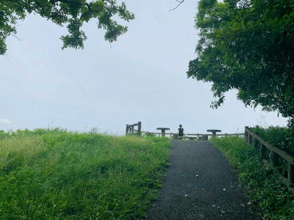 【逗子】大崎公園の魅力を地元ライターが写真付きで紹介～のどかな自然が魅力～1.jpg