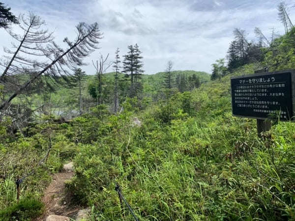 【北海道】然別湖の自然を大満喫！白雲山・天望山・東雲湖をぐるっと1周♪