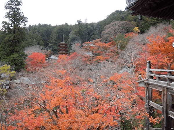 電車やバスで行く奈良のおすすめ紅葉スポット6選