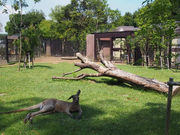 子どもと行きたい横浜のおすすめ公園22選！大型遊具・ロング滑り台など設備充実の公園特集